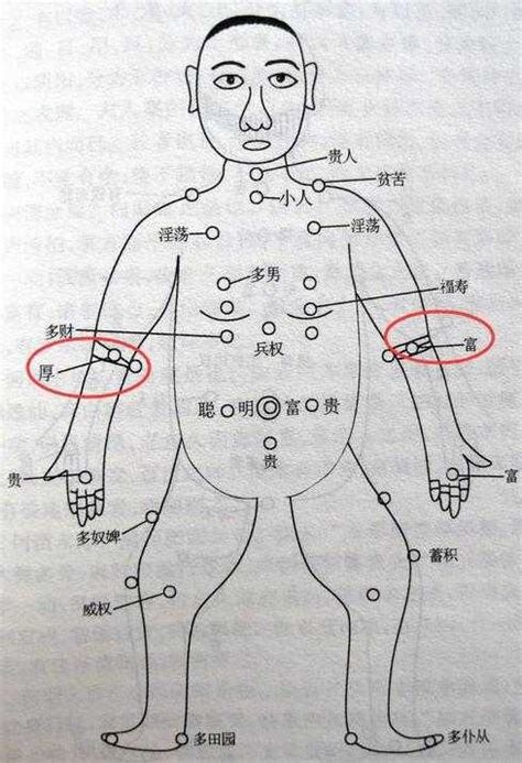 左手臂內側有痣|痣相圖解：手臂上長痣代表的含義